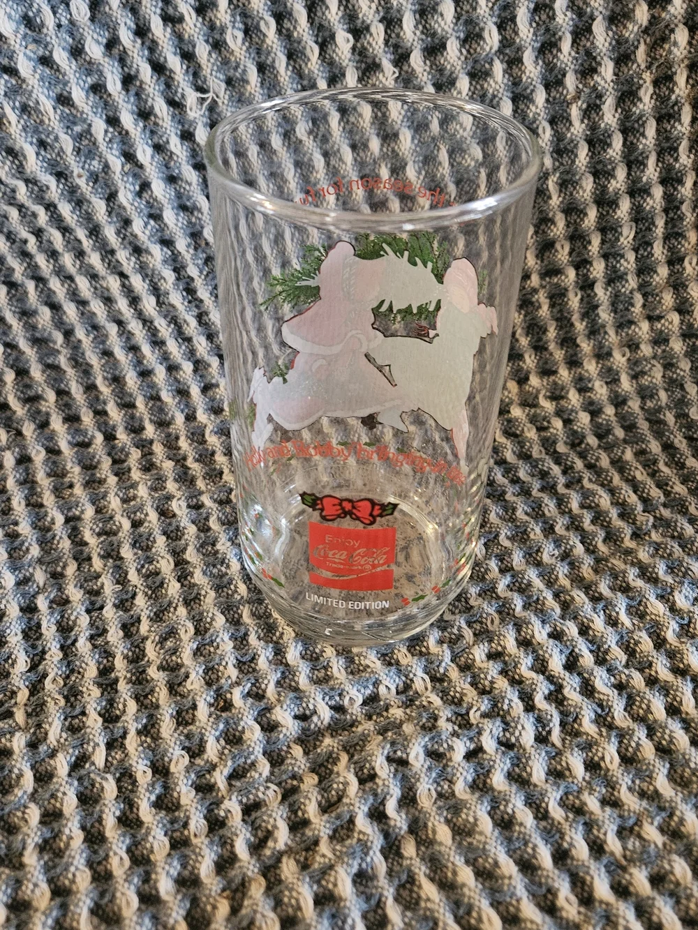 Holiday Illustration Clear Glass Tumbler in Red & Green